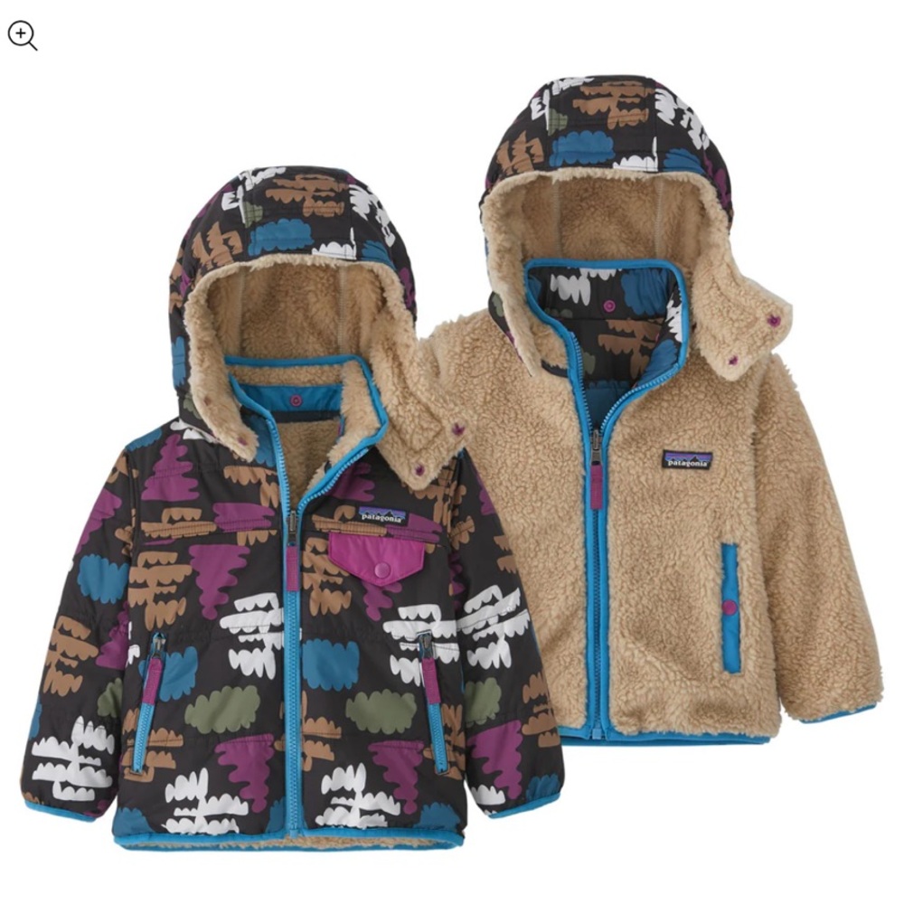 Patagonia Purple and Blue Puffer Jacket